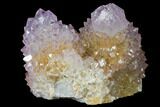 Cactus Quartz (Amethyst) Crystal Cluster - South Africa #132486-1